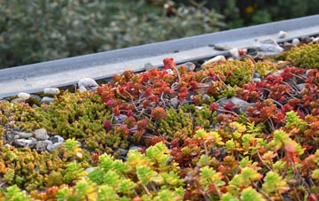the cost of Feizor green roof installation