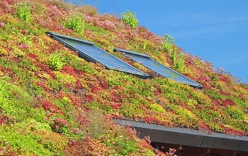 Feizor living roof systems